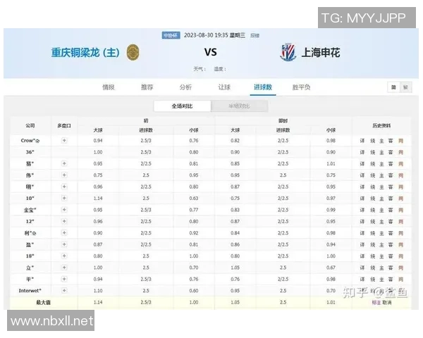 伊朗与日本足球对决分析大小球走势与投注策略探讨 伊朗与日本足球对决分析大小球走势与投注策略探讨