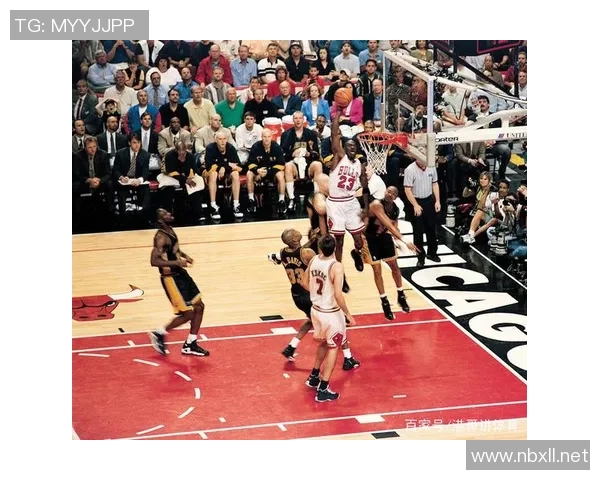 博格丹博格达诺维奇的篮球之路与职业生涯回顾