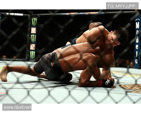 埃德加与迪拉肖巅峰对决UFC赛场再掀风云之战 埃德加与迪拉肖巅峰对决UFC赛场再掀风云之战