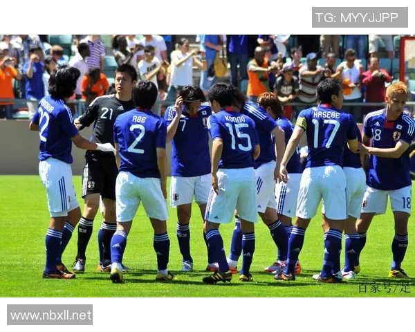 鸟栖砂岩与清水鼓动的对比分析与生态影响探讨 鸟栖砂岩与清水鼓动的对比分析与生态影响探讨