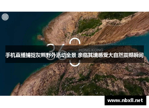 手机直播捕捉灰熊野外活动全景 亲临其境感受大自然震撼瞬间